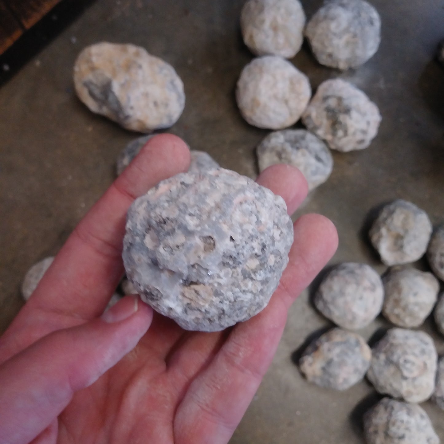 Las Trancas Geodes X-Small (2ish Inches)