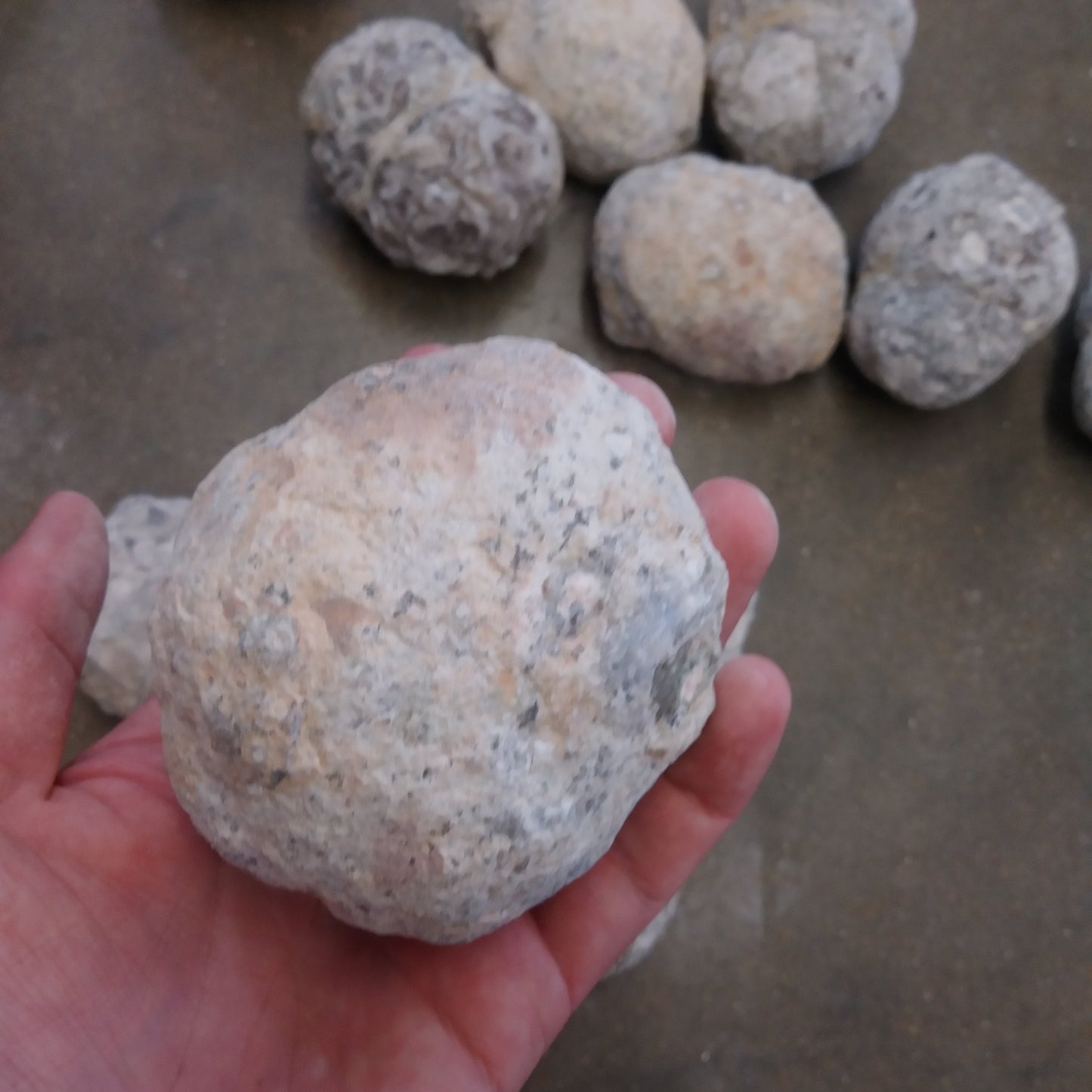 Las Trancas Geodes Medium (3+ Inches)