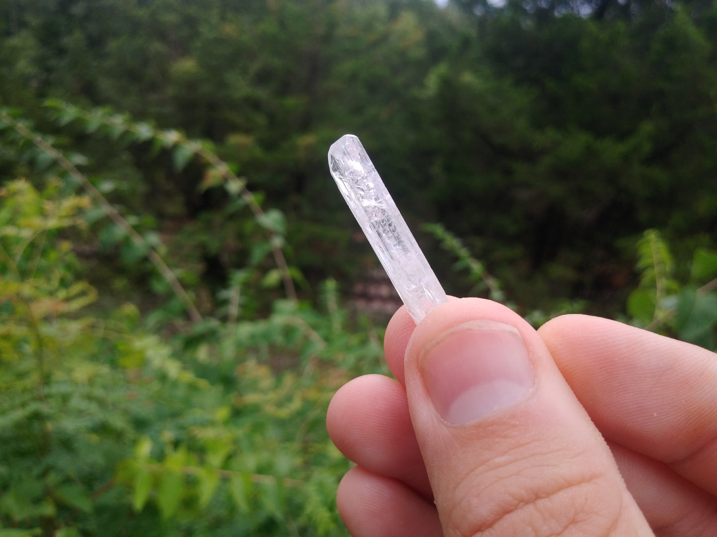 July 2023 Mineral of the Month Back Issue - Danburite
