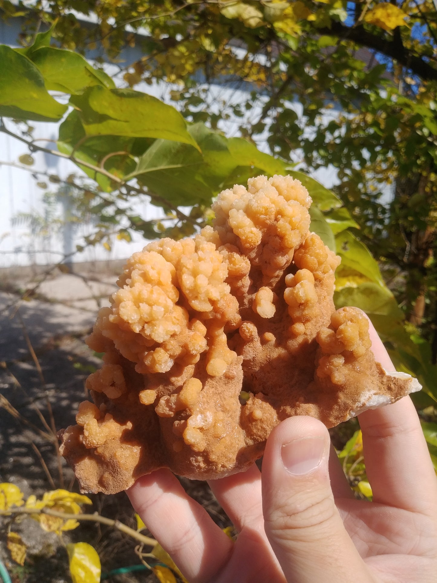Aragonite Cave Crystals From Morocco