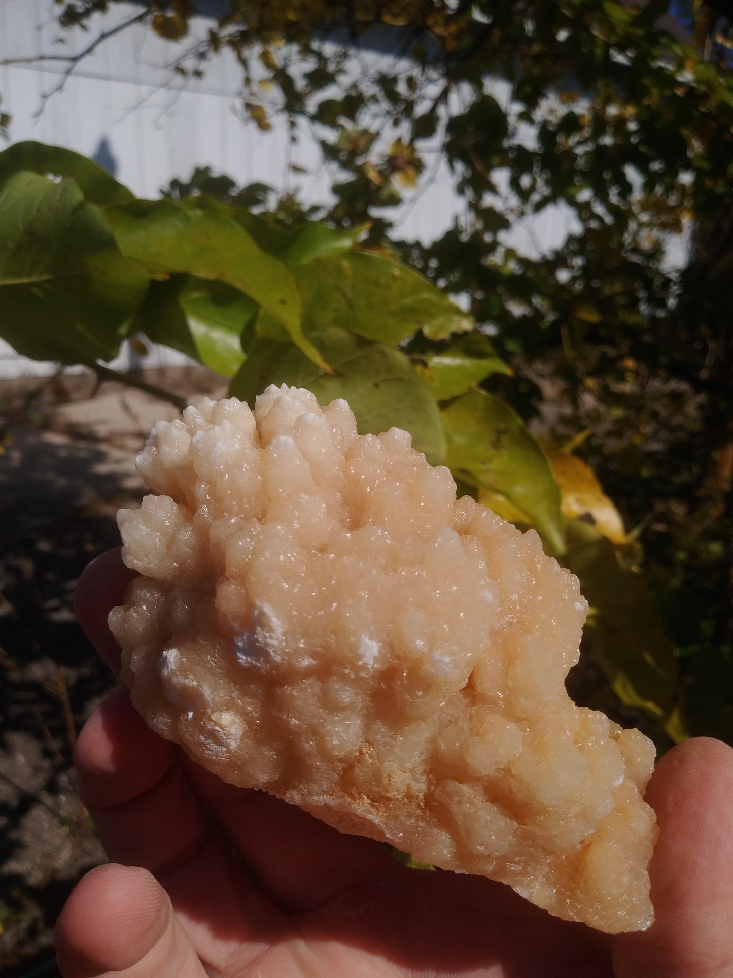 Aragonite Cave Crystals From Morocco