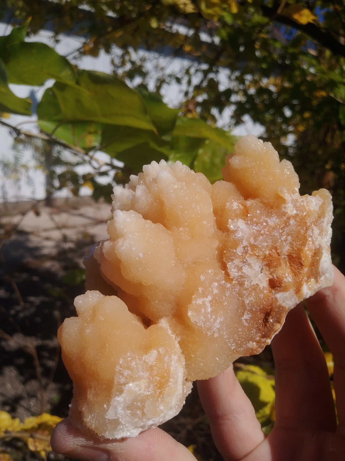 Aragonite Cave Crystals From Morocco