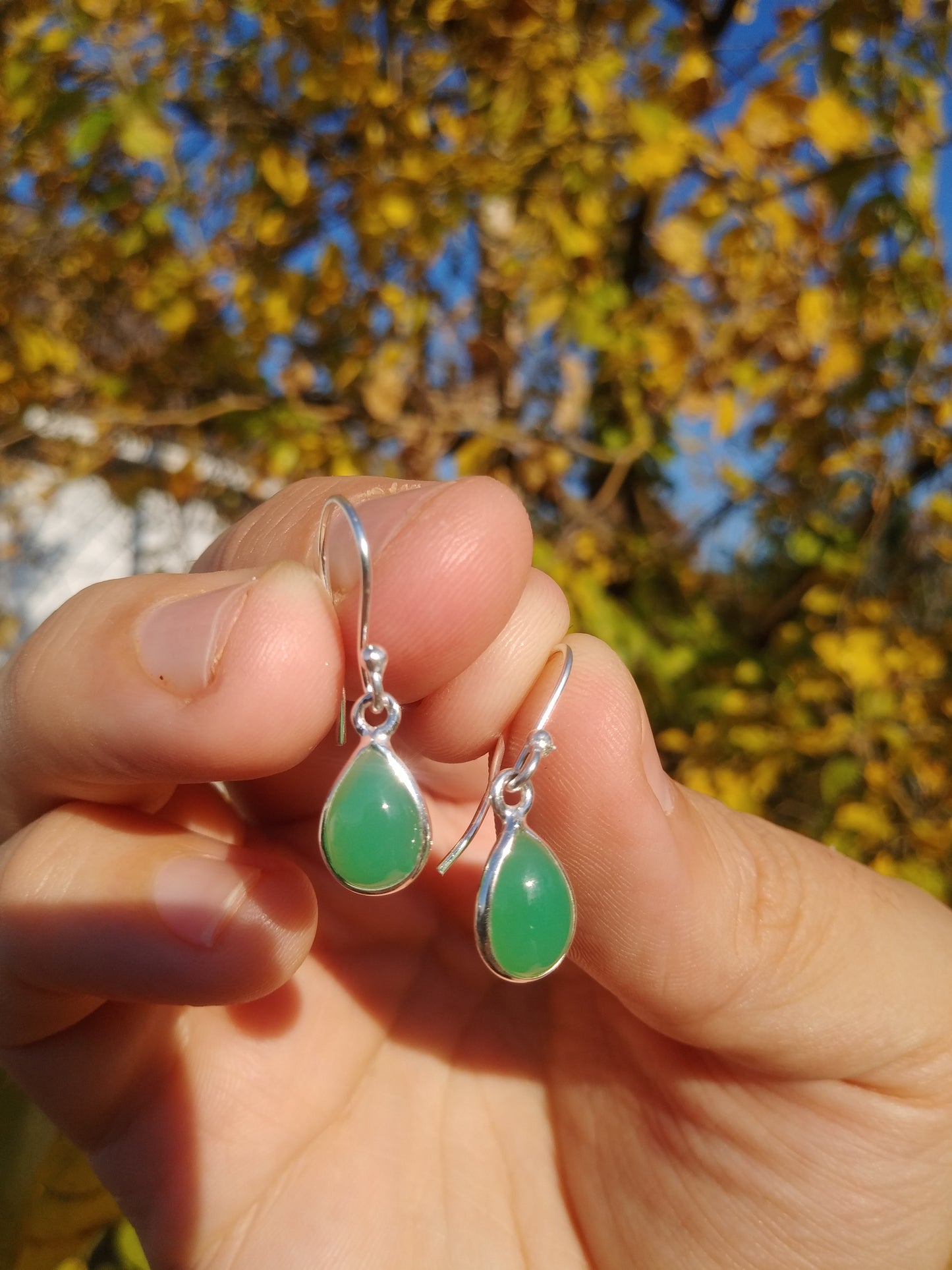 Australian Chrysoprase Earrings in Sterling Silver