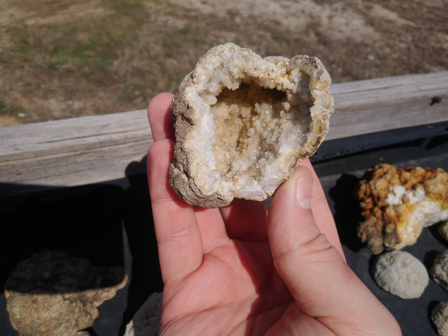 Assorted Geode Pieces (Halves and Partials) - 3lb lots