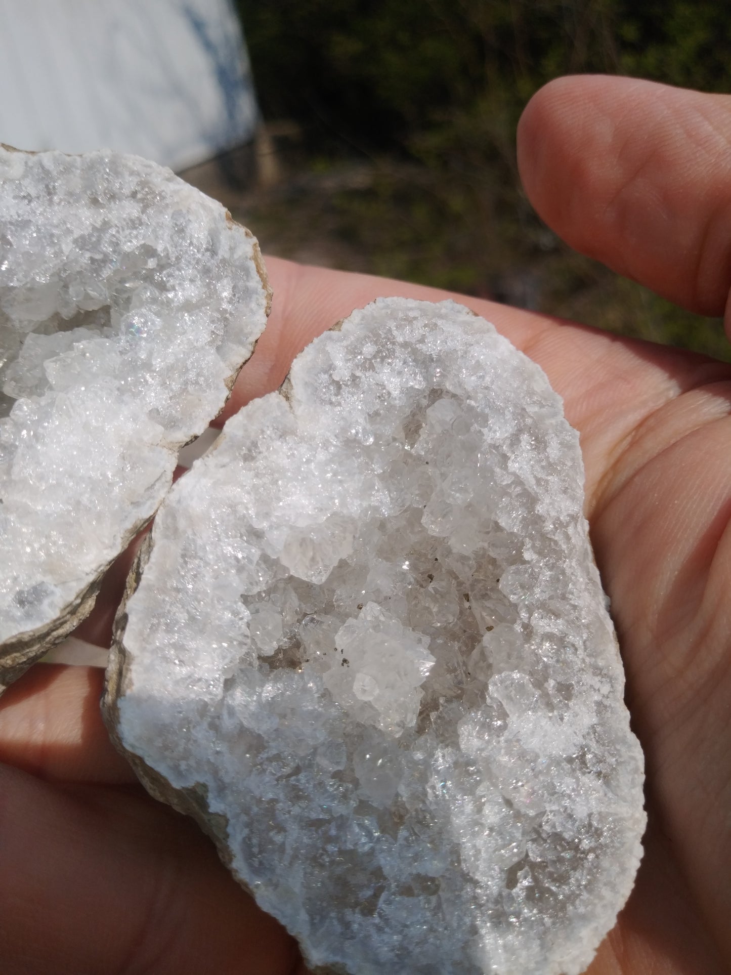 Pre-Cracked The "Cheeks" Geode