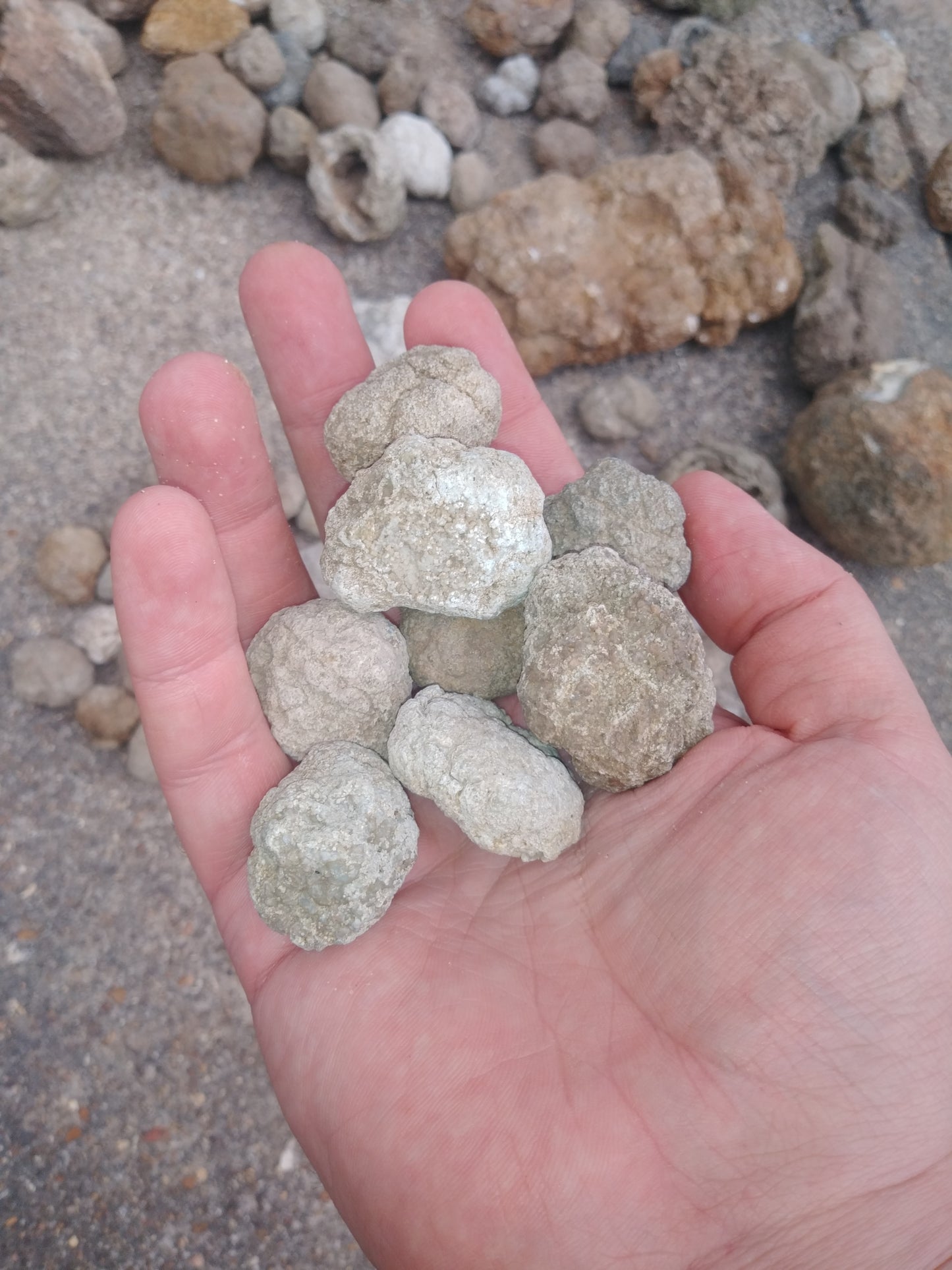 3 Mini (Roughly 1 Inch) Uncracked Warsaw Formation Geodes