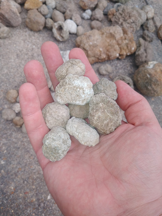 3 Mini (Roughly 1 Inch) Uncracked Warsaw Formation Geodes