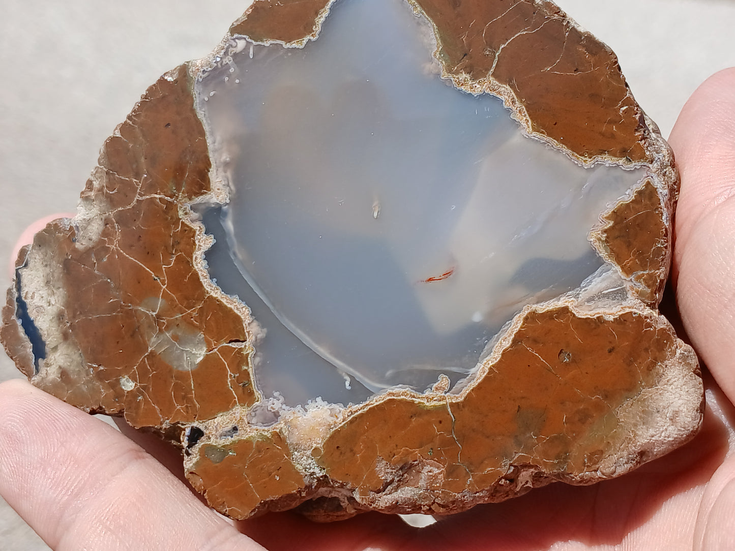 Polished Thunder Egg Half