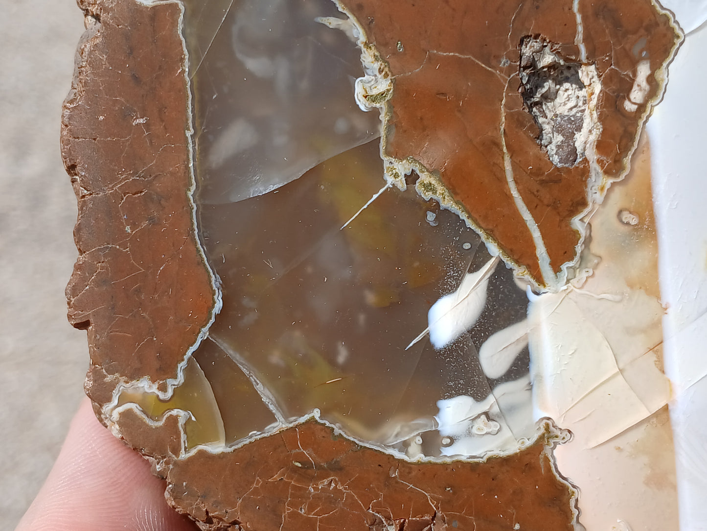 Polished Thunder Egg Half