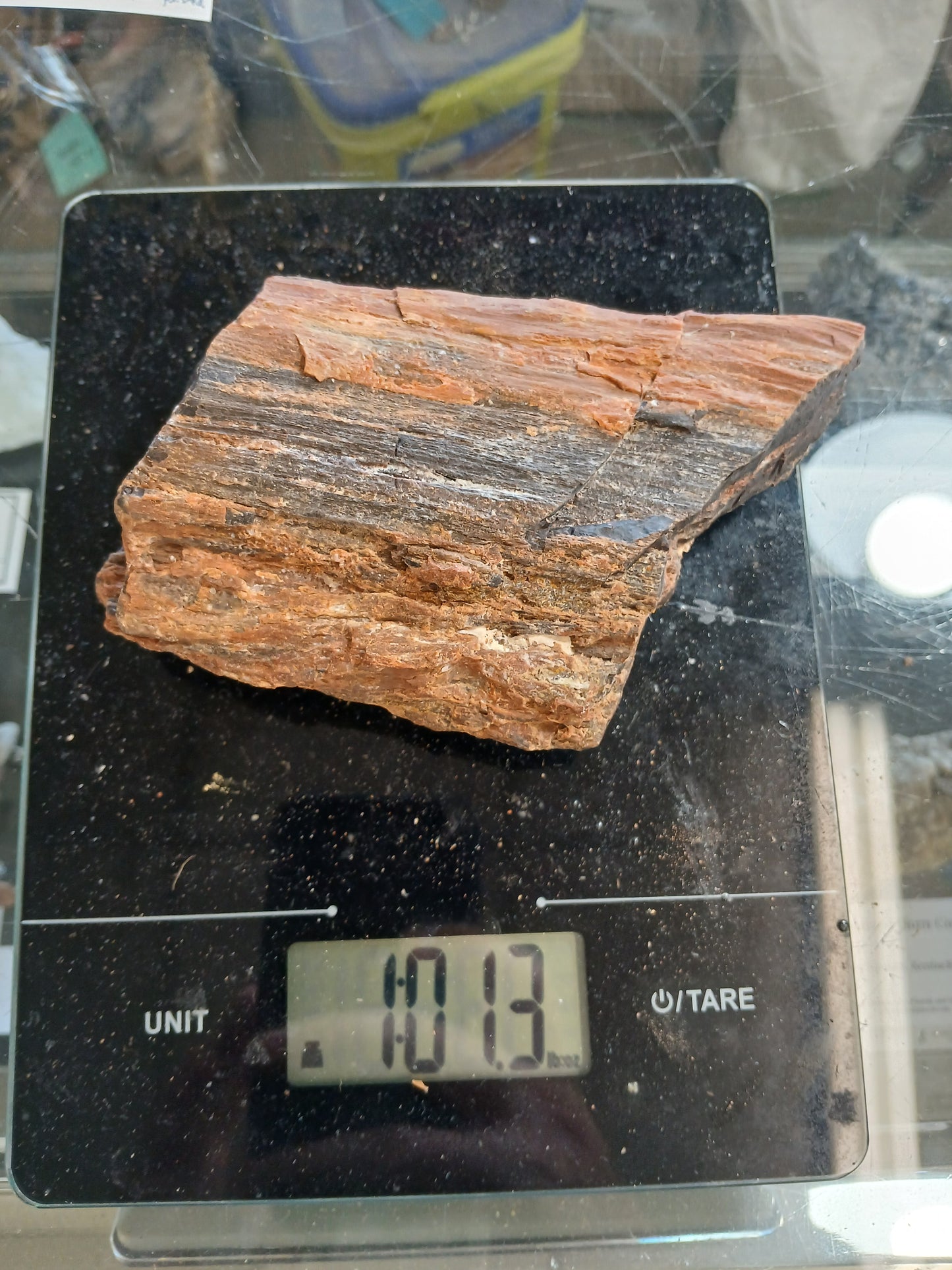 Black and Red Petried Wood Limb Piece