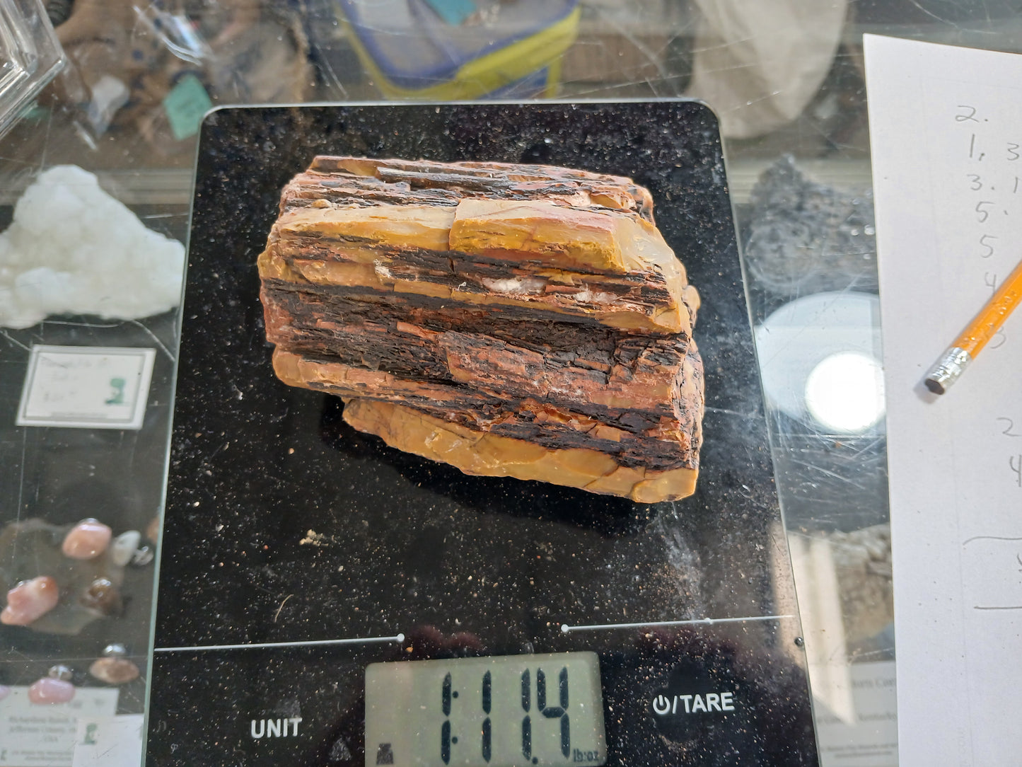 Nazlini Petrified Wood