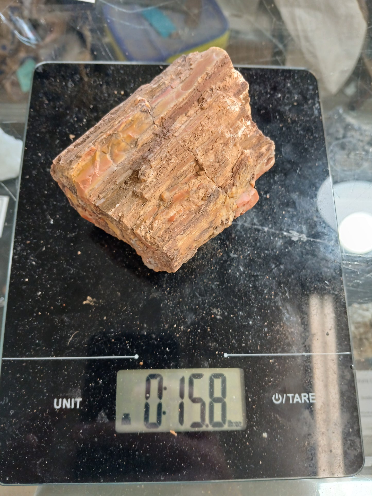 Nazlini Petrified Wood With Lots of Pink!