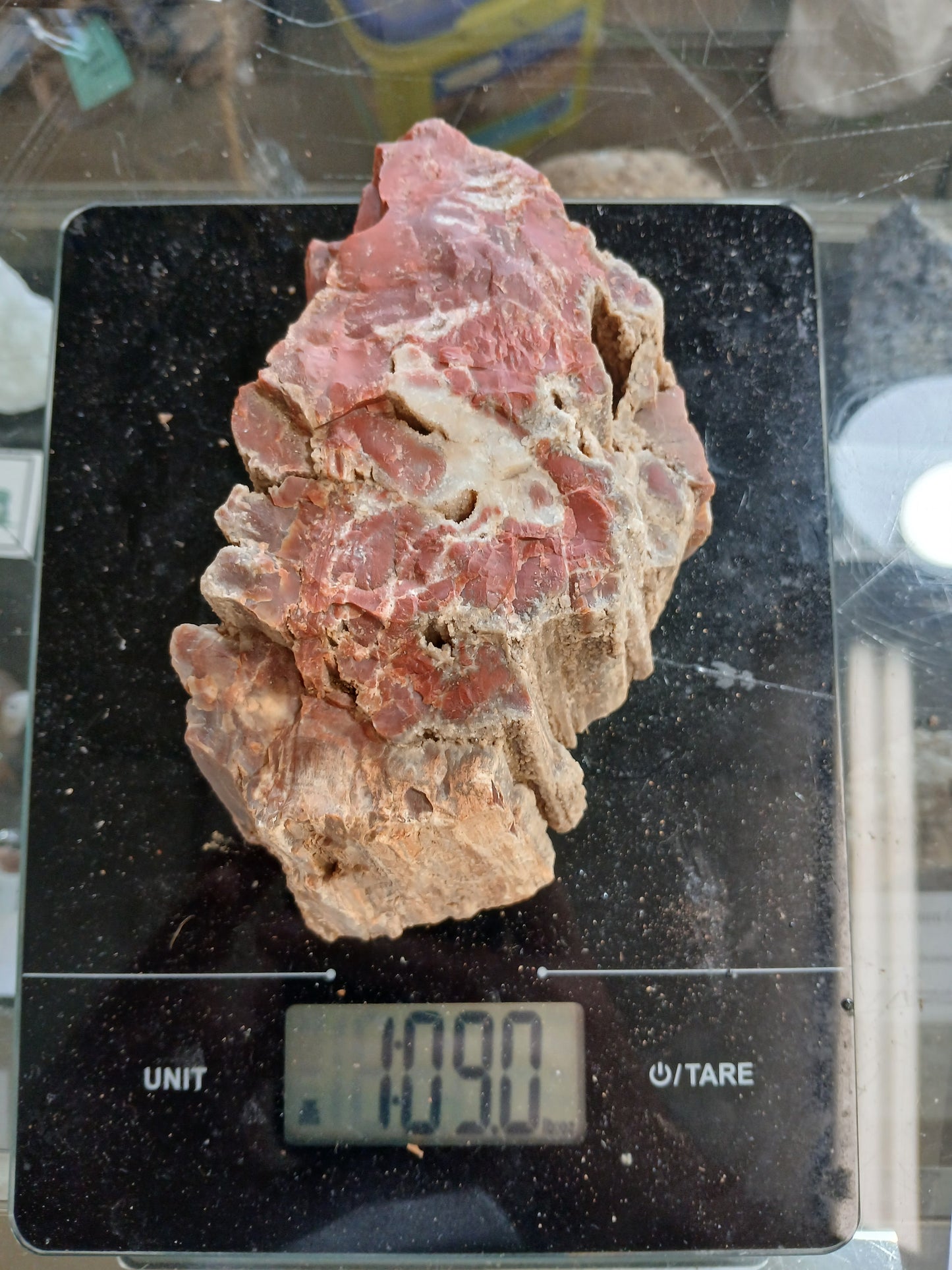 Drusy Quartz Coated Petrified Wood With Awesome Bark!