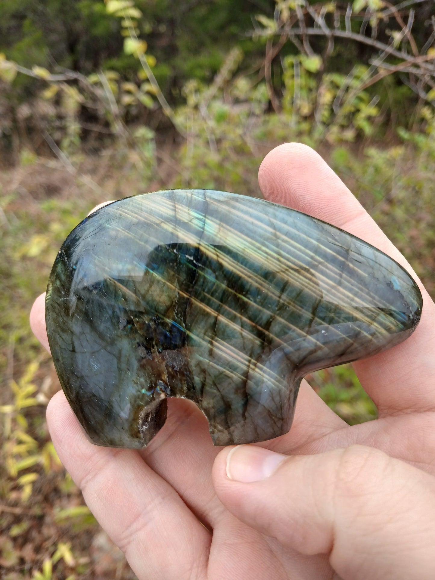 Labradorite Zuni Bear With EXCEPTIONAL Flash