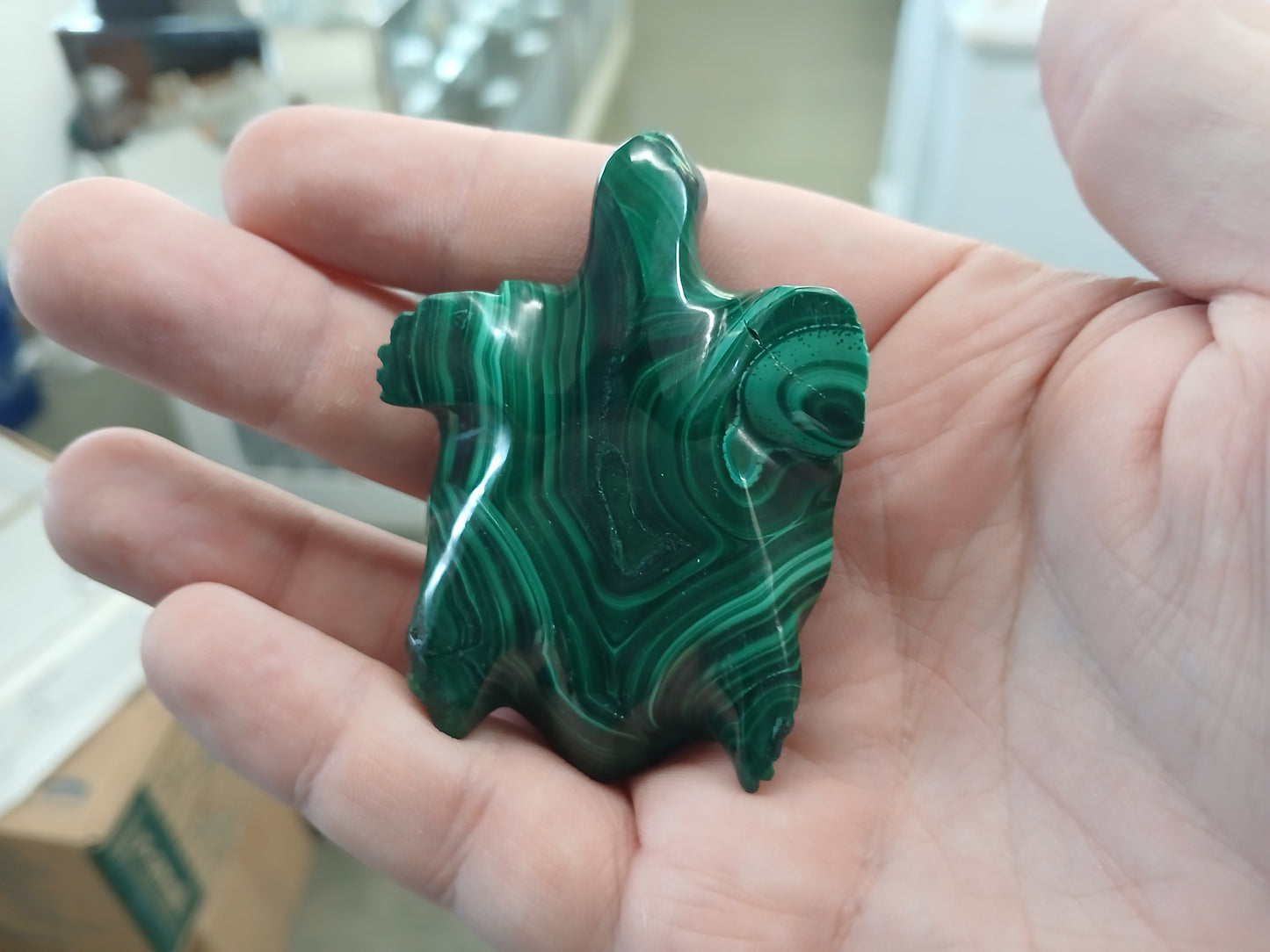 Repaired Malachite Turtle
