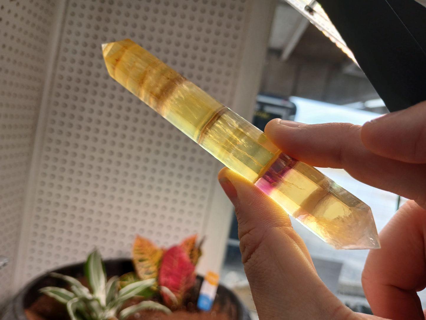 Yellow and Purple Fluorite "Wand"