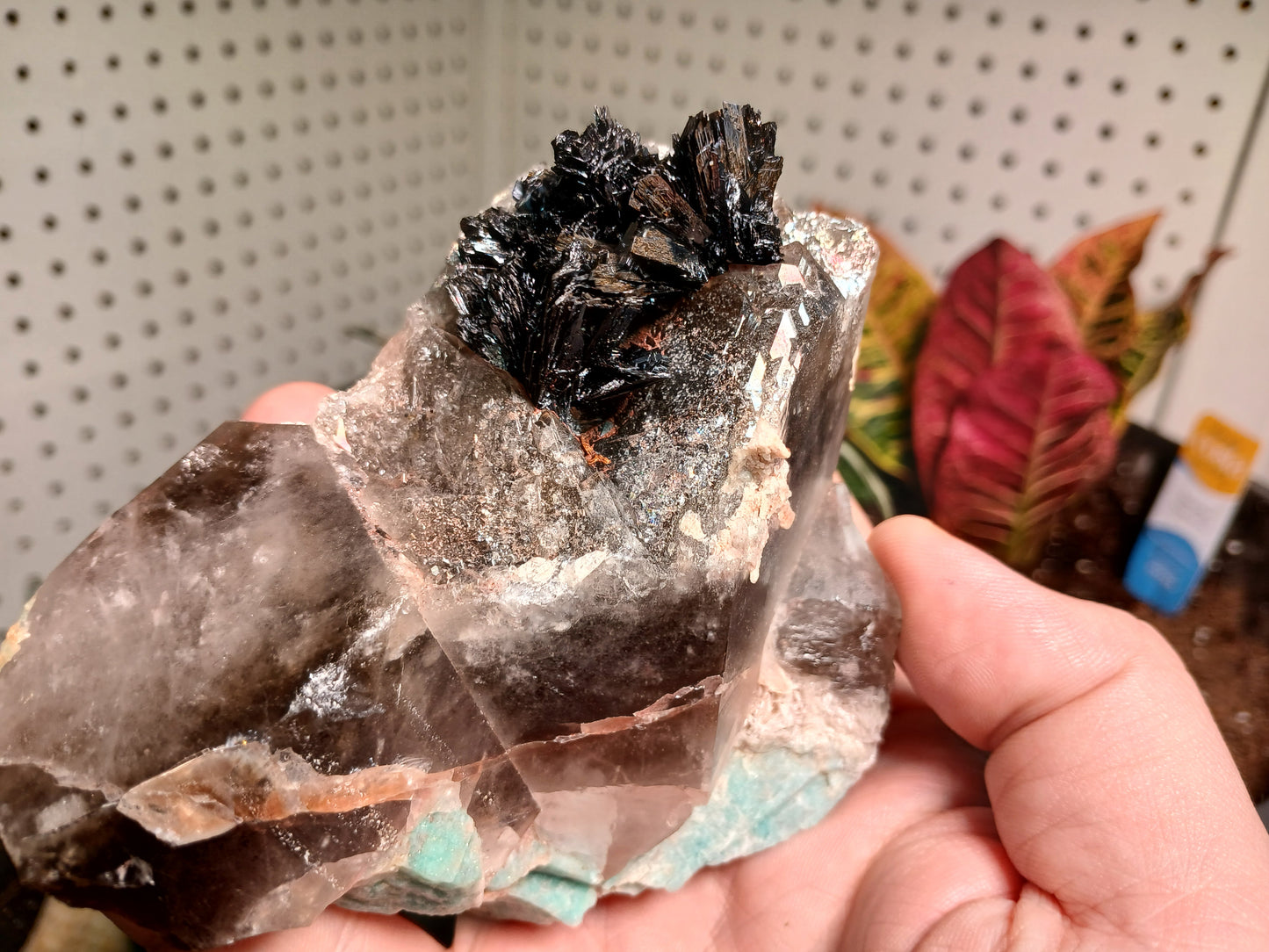 Exceptional Goethite On Remineralizer (healed) Smoky Quartz and Amazonite