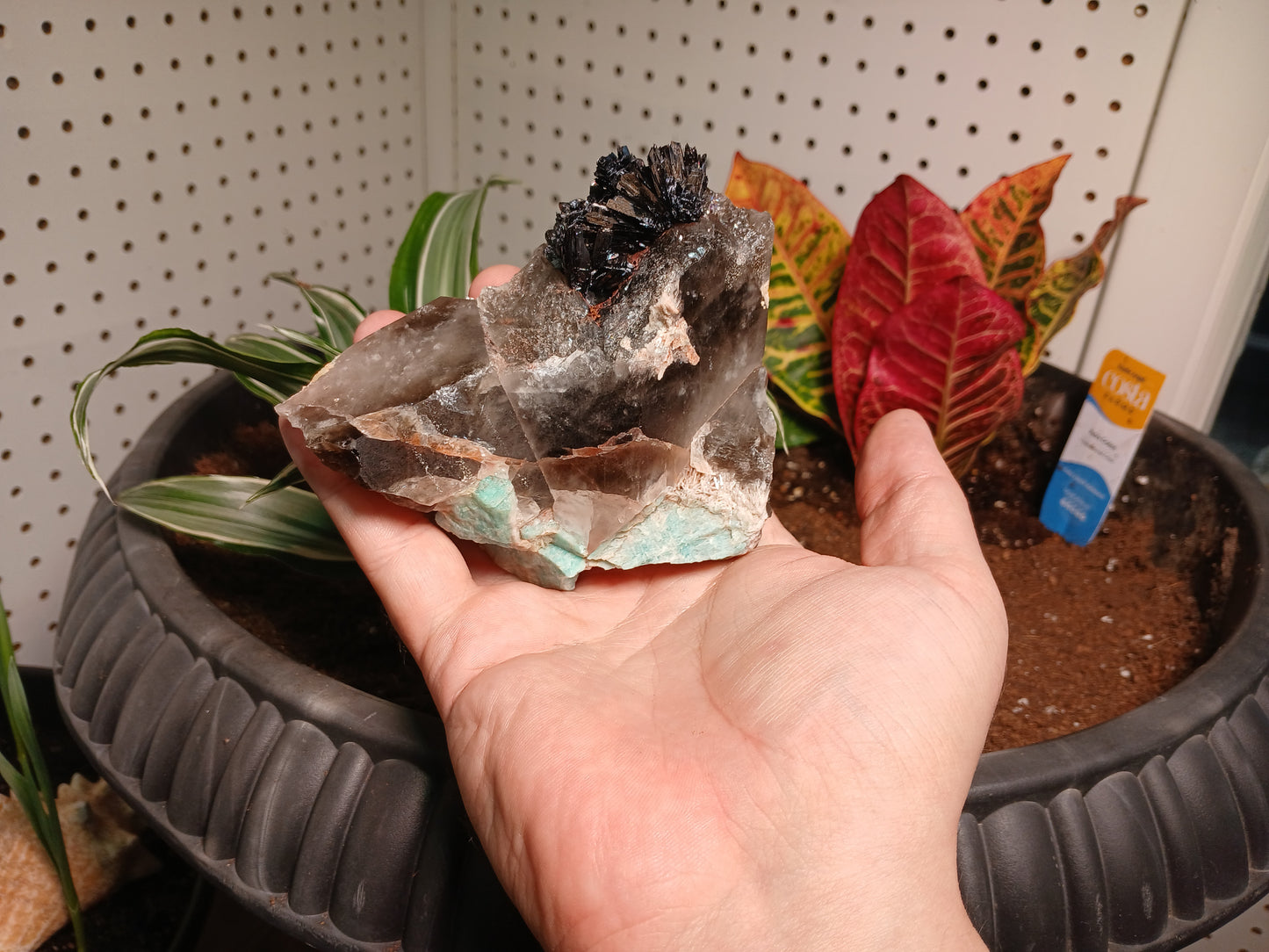 Exceptional Goethite On Remineralizer (healed) Smoky Quartz and Amazonite