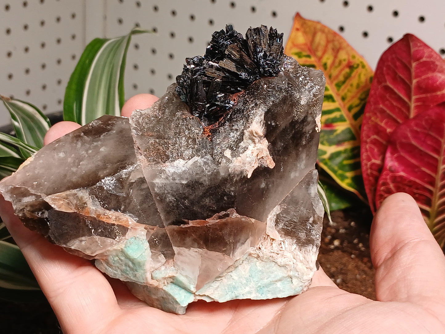Exceptional Goethite On Remineralizer (healed) Smoky Quartz and Amazonite