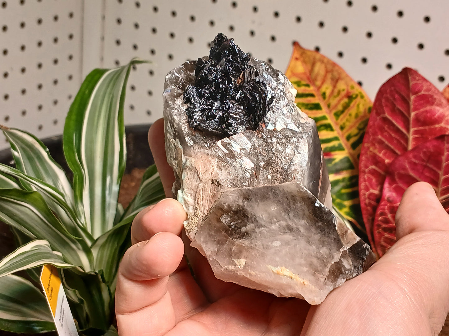 Exceptional Goethite On Remineralizer (healed) Smoky Quartz and Amazonite