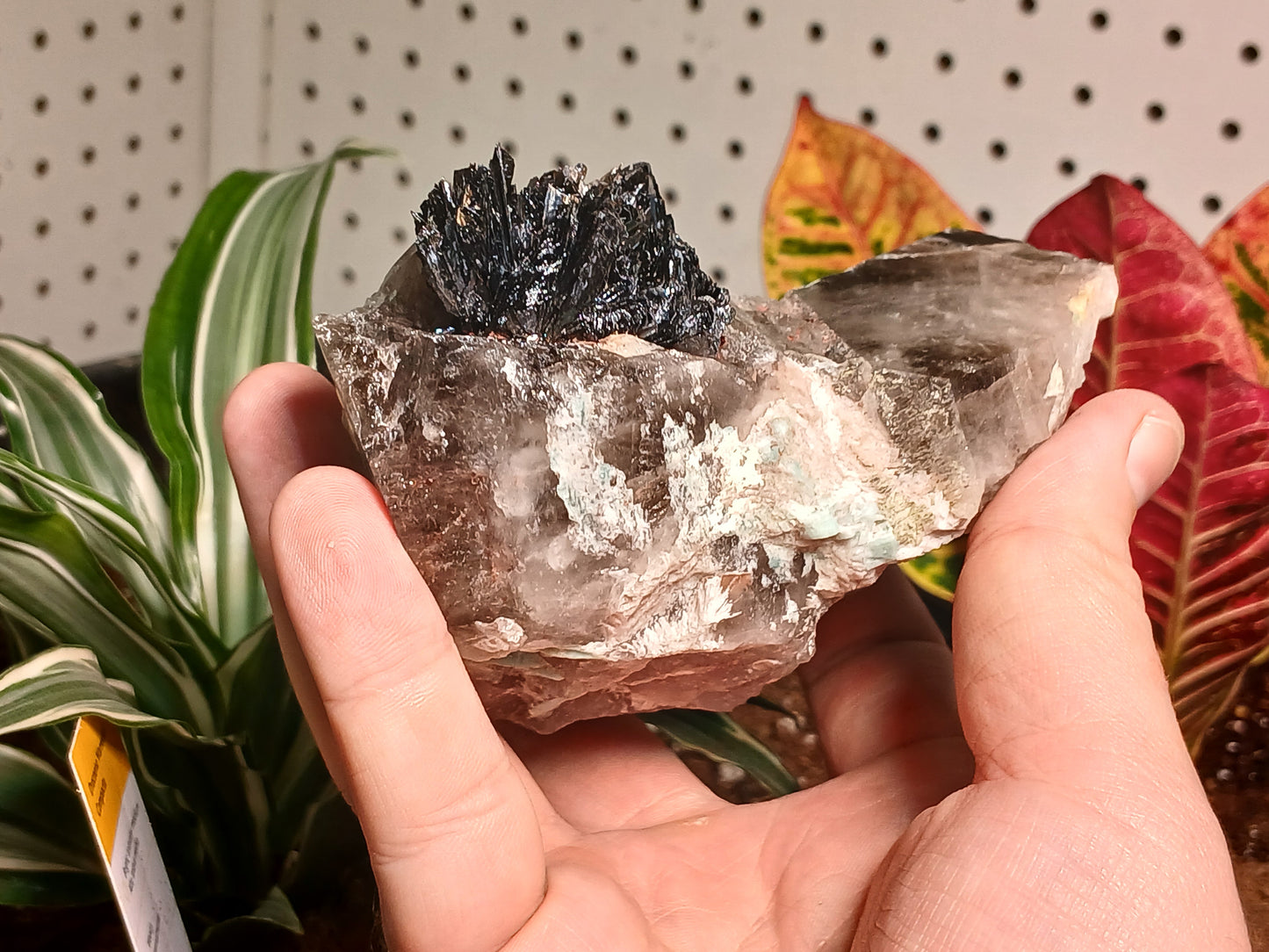 Exceptional Goethite On Remineralizer (healed) Smoky Quartz and Amazonite