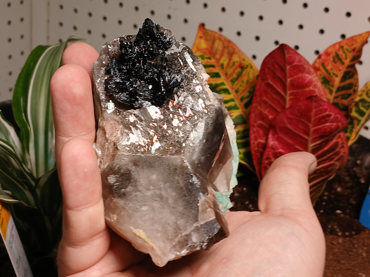 Exceptional Goethite On Remineralizer (healed) Smoky Quartz and Amazonite