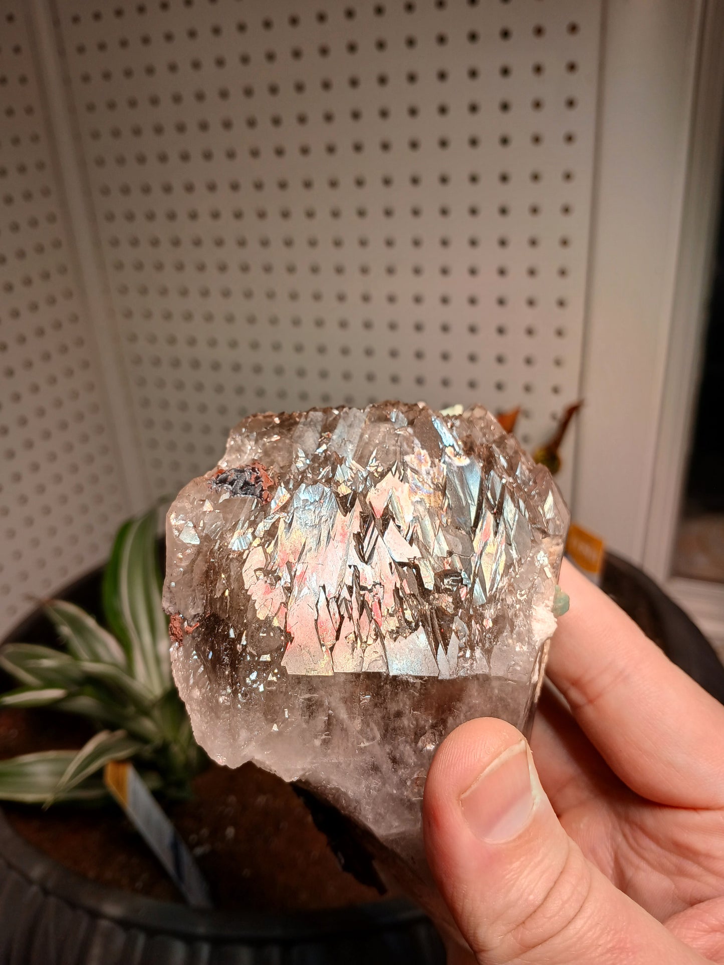 Rare Association Mineral: "Healed" (Remineralized) Smoky Quartz, Excellent Goethite, and Amazonite