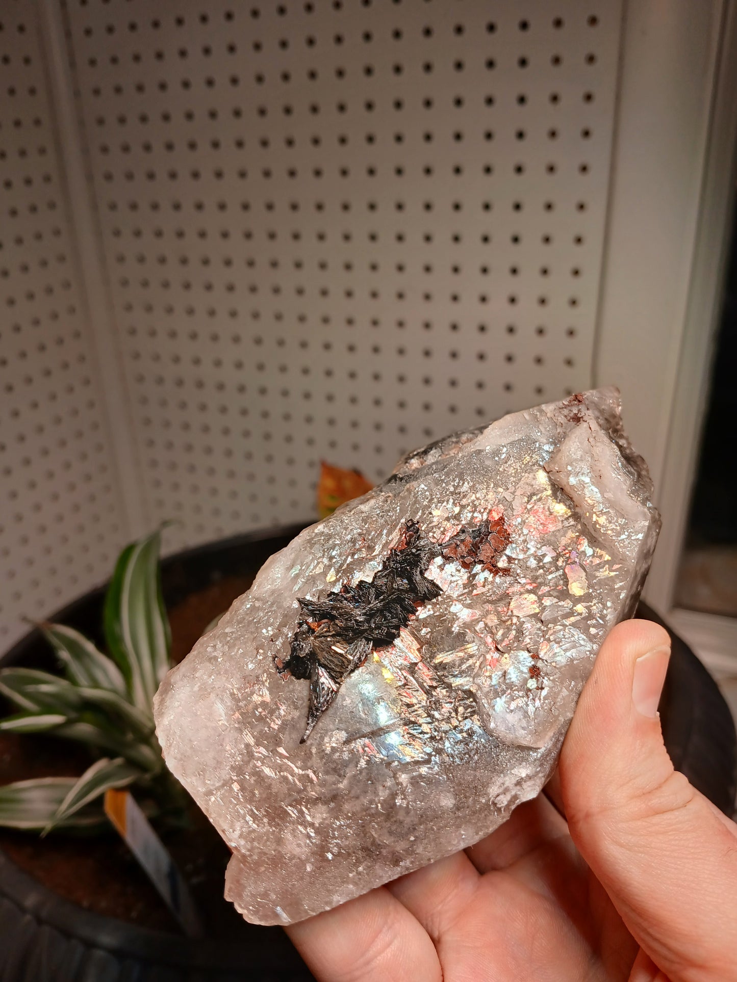 Rare Association Mineral: "Healed" (Remineralized) Smoky Quartz, Excellent Goethite, and Amazonite