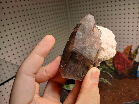 Smoky Quartz and Microcline