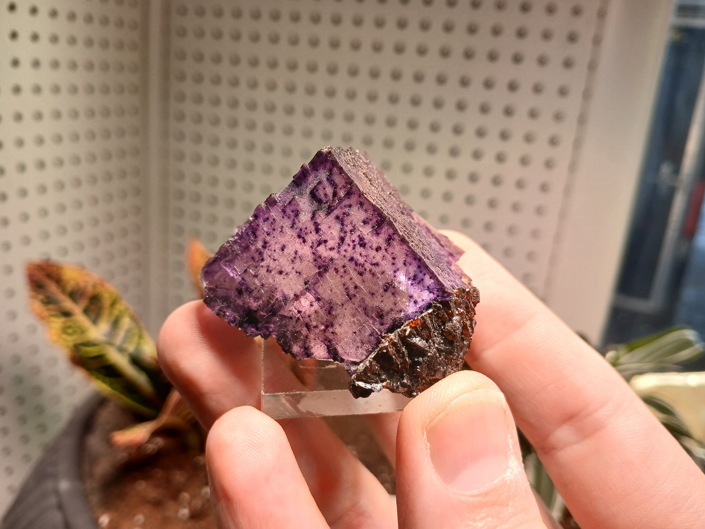 Elmwood TN Fluorite With Sphalerite