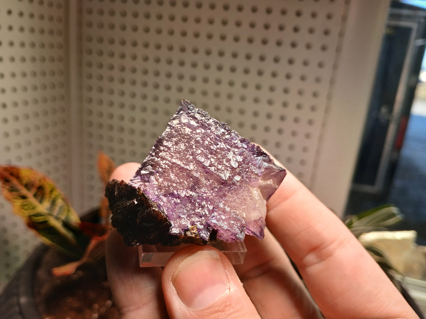 Elmwood TN Fluorite With Sphalerite