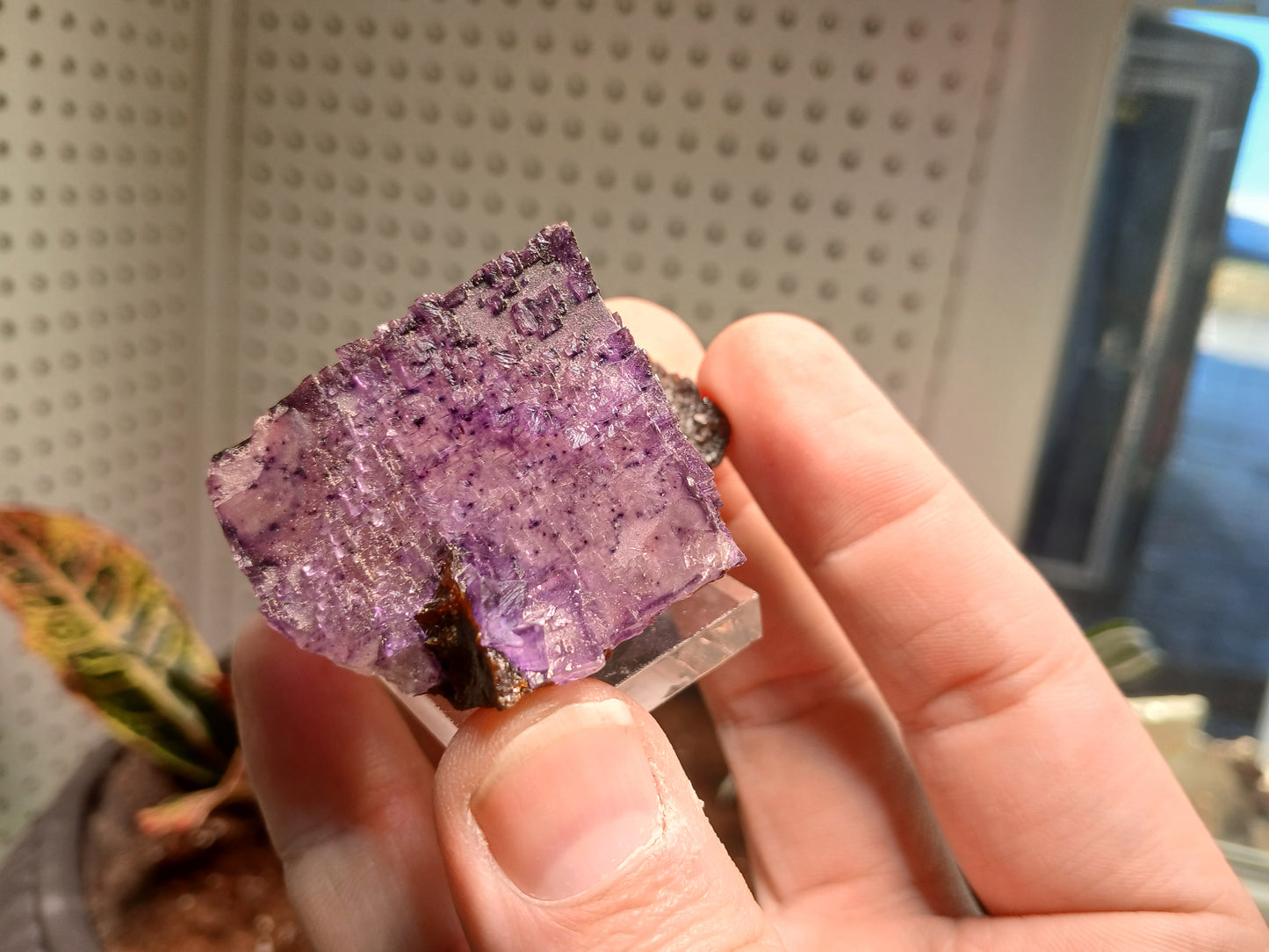 Elmwood TN Fluorite With Sphalerite