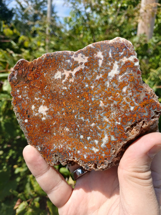 Turkish Agate Polished One Side