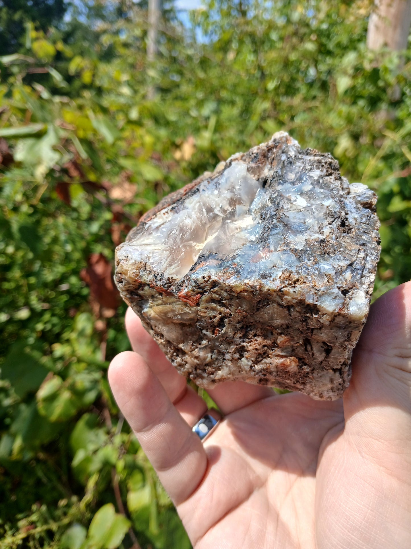 Turkish Agate Polished One Side With STICKS!