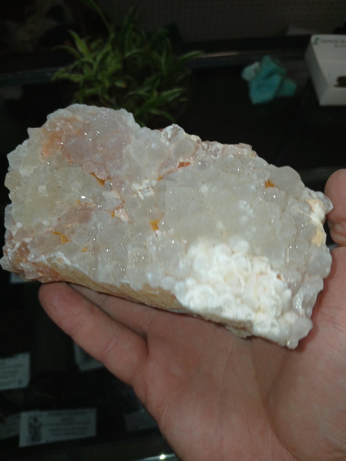 Drusy Coated Quartz on Lace Agate