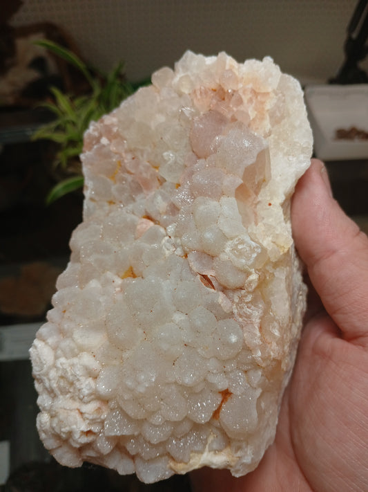 Drusy Coated Quartz on Lace Agate