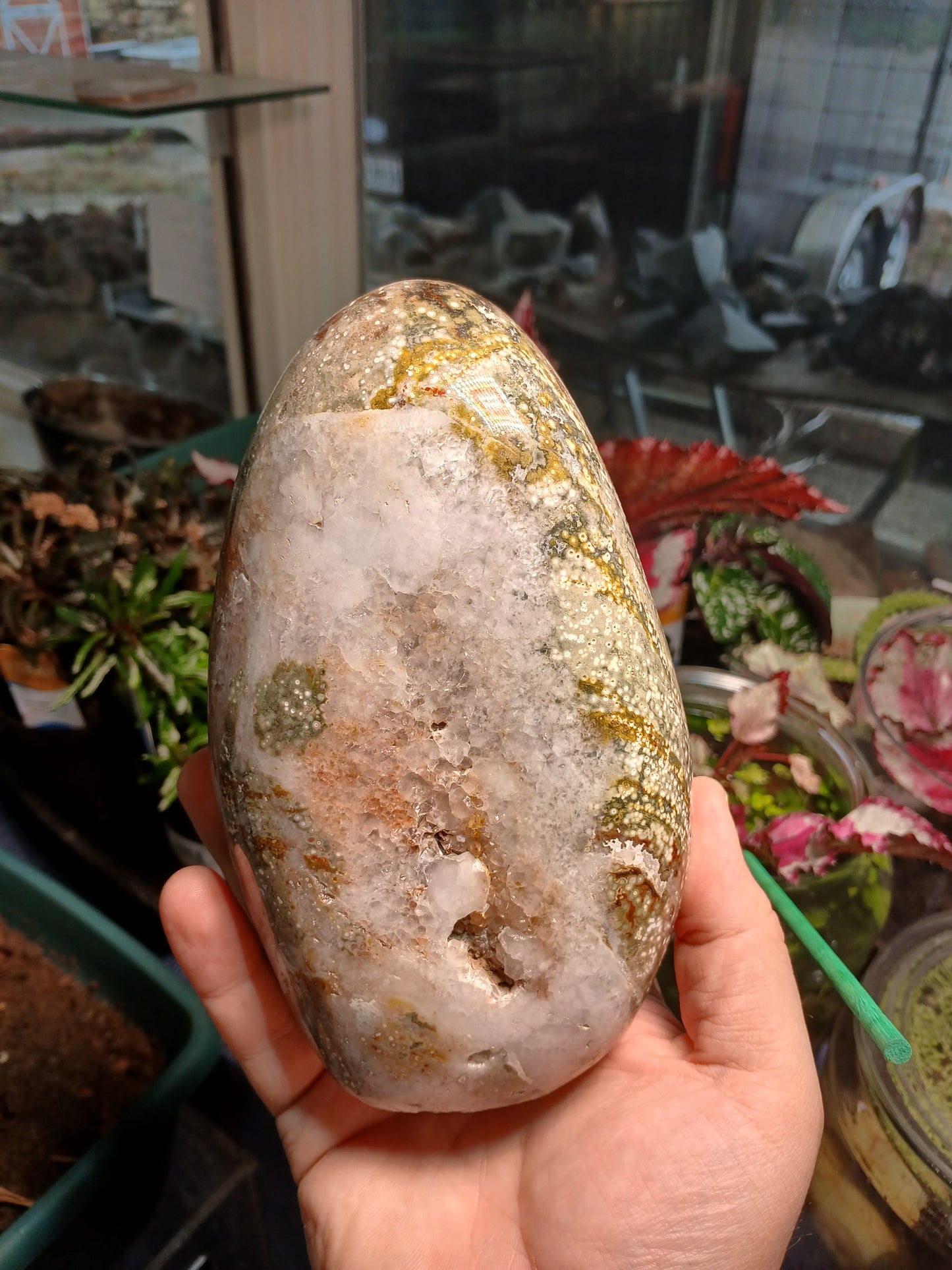 Old Stock! Rare Ocean Jasper Free-form (3lbs 10 ounces)