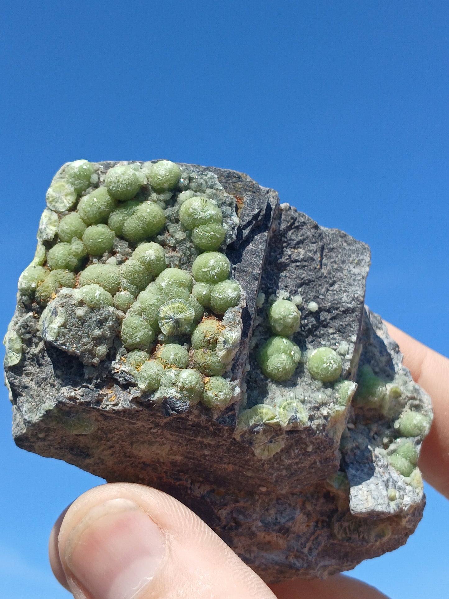 Wavellite on Matrix