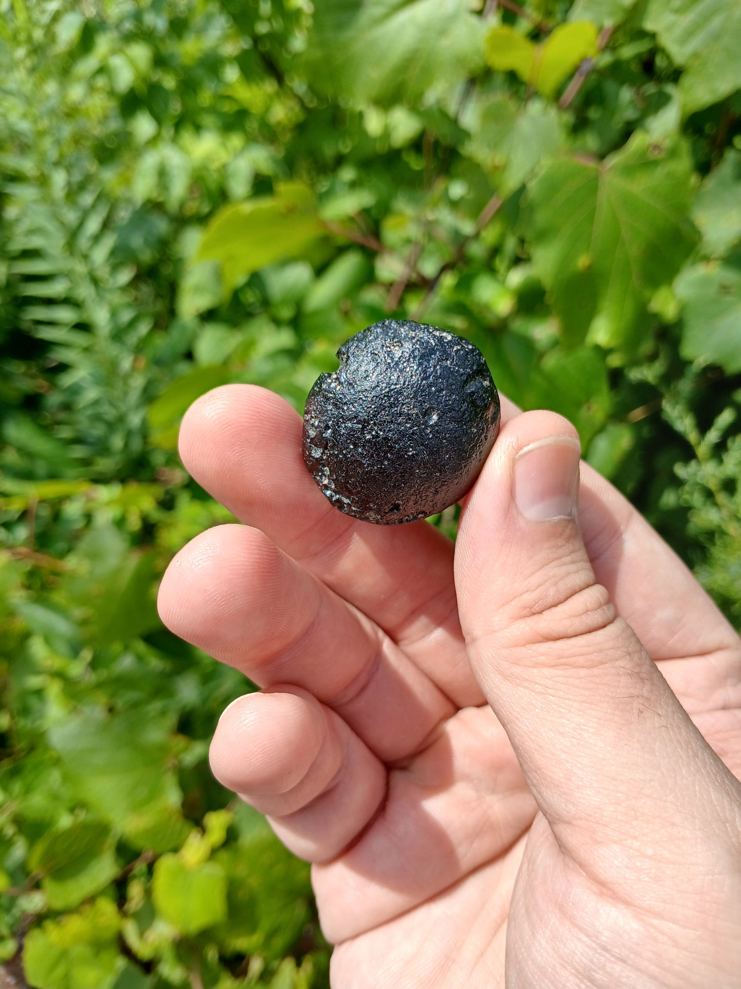 25g Bikolite - Tektite