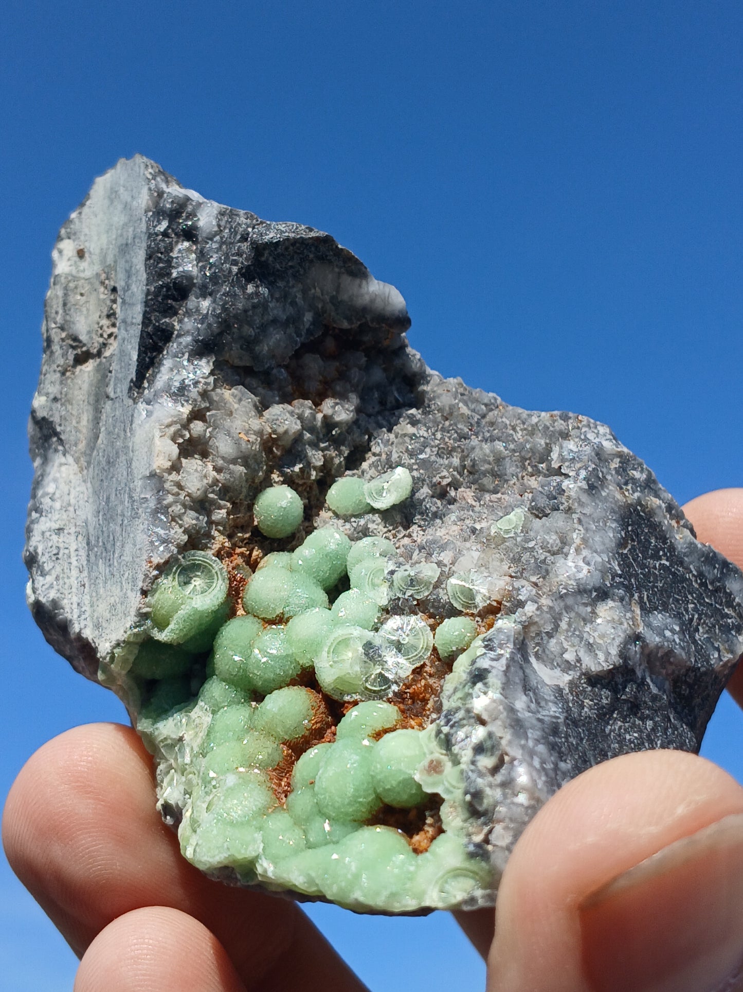 Wavellite on Matrix