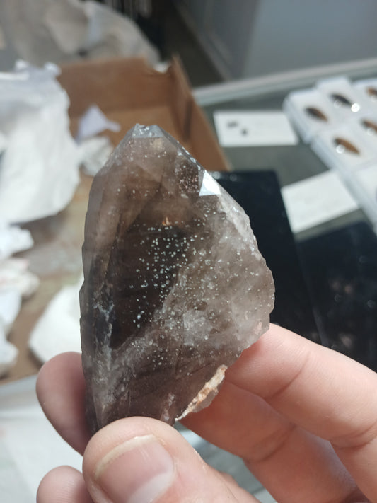 Tabular Smoky Quartz