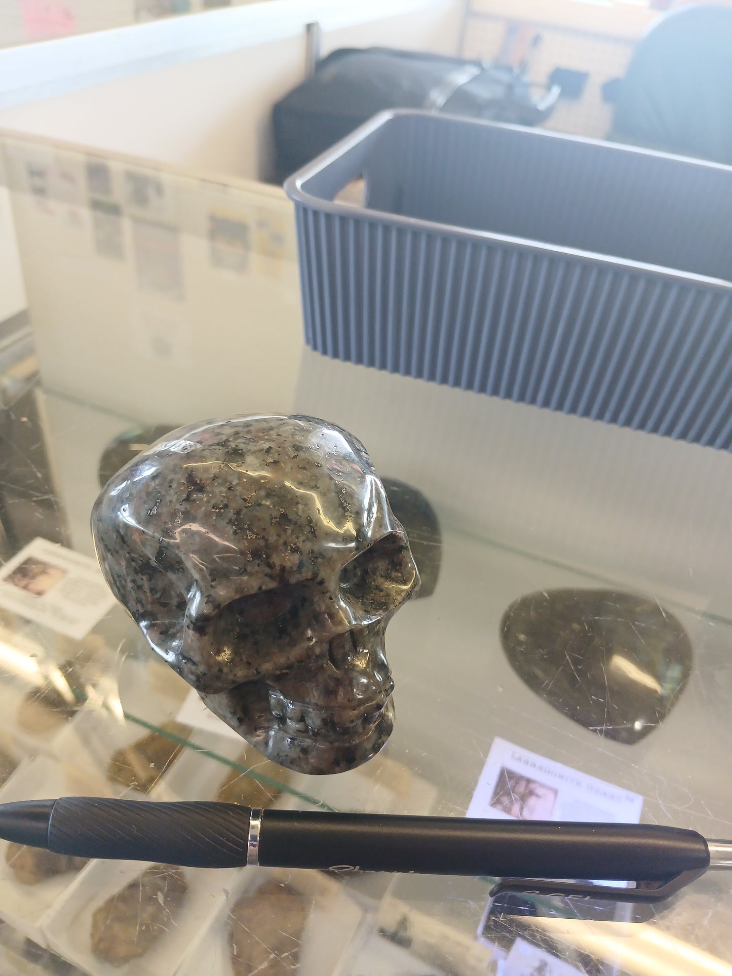 Syenite Skull with Fluorescent Sodalite