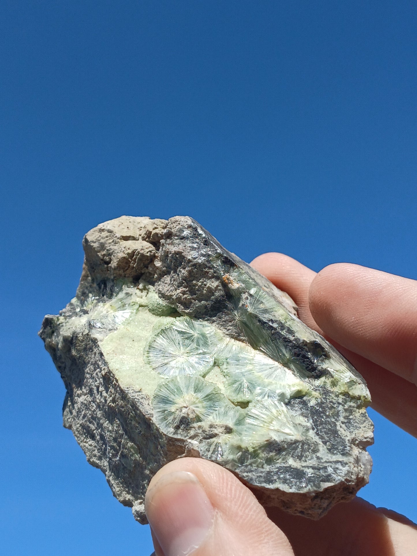 Wavellite on Matrix
