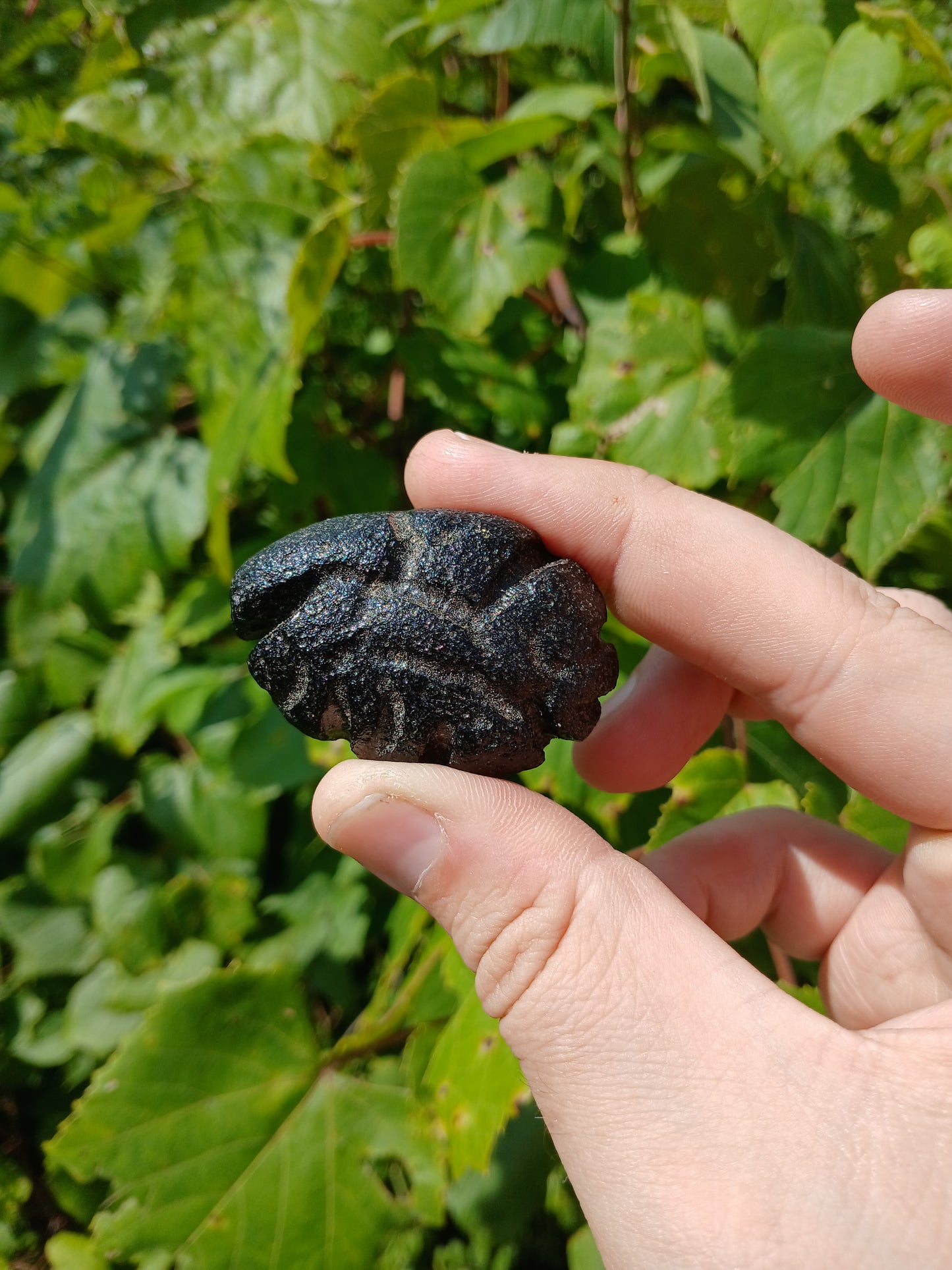 47 g Rizalite - Tektite