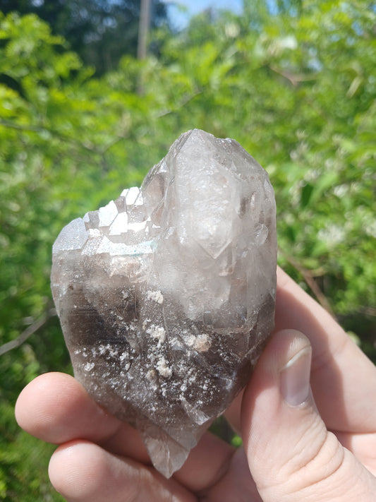 Smoky Quartz "Bouquet" With Minor Goethite