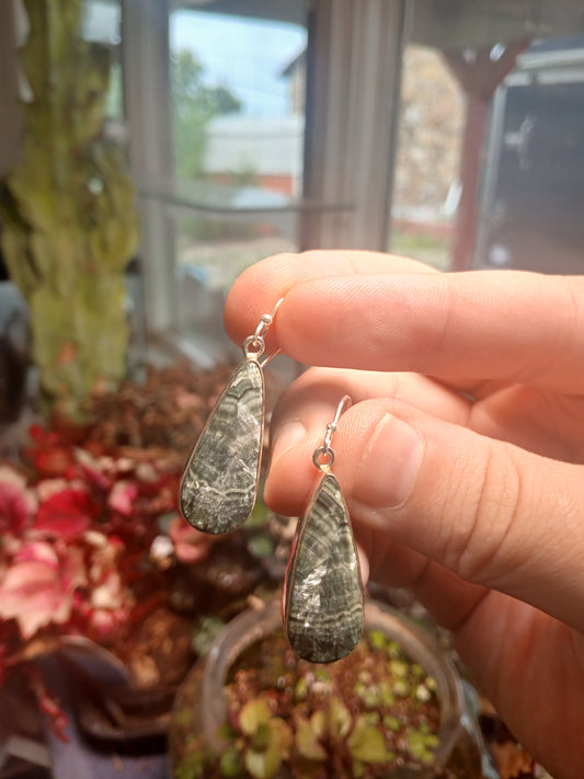Seraphinite Set In .925 Sterling Silver Earrings