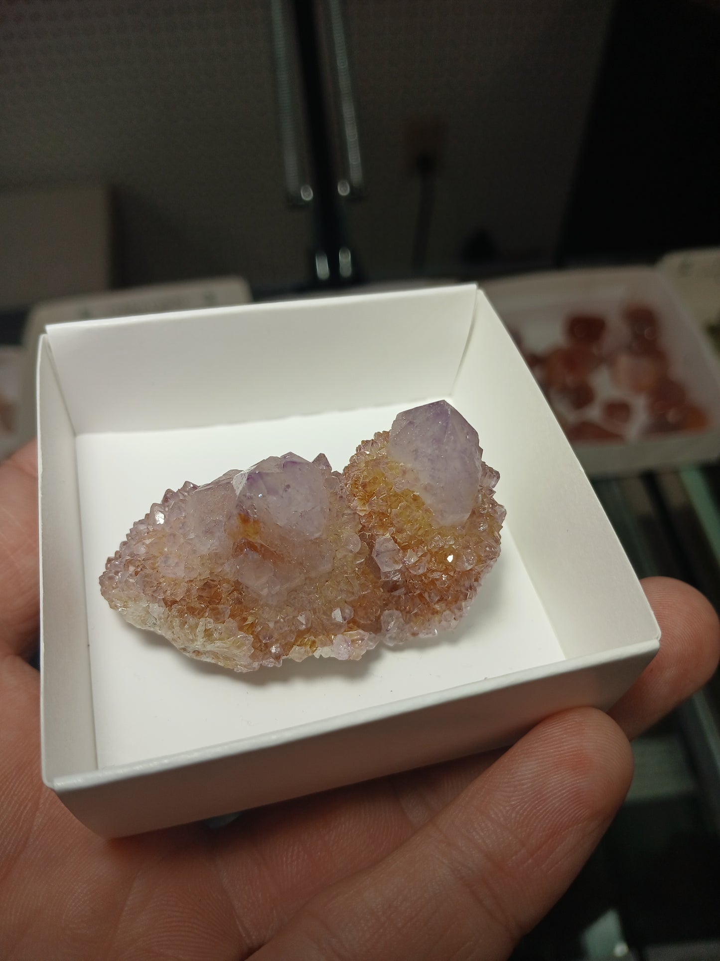 Cactus (Spirit) Quartz