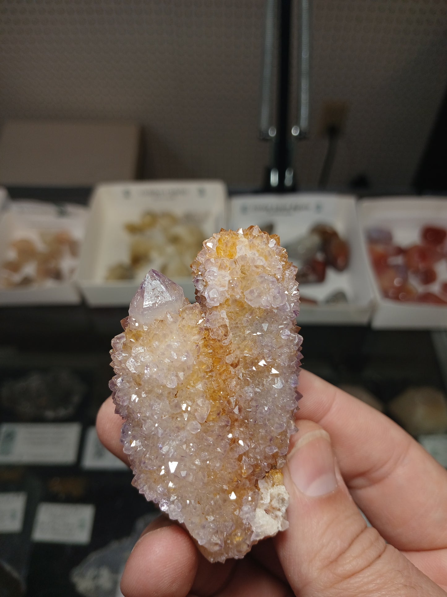 Cactus (Spirit) Quartz