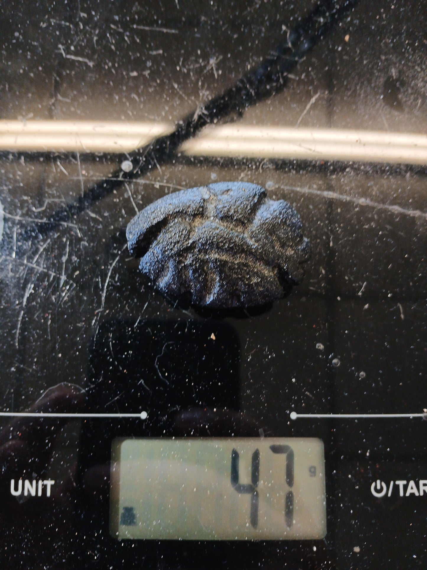 47 g Rizalite - Tektite