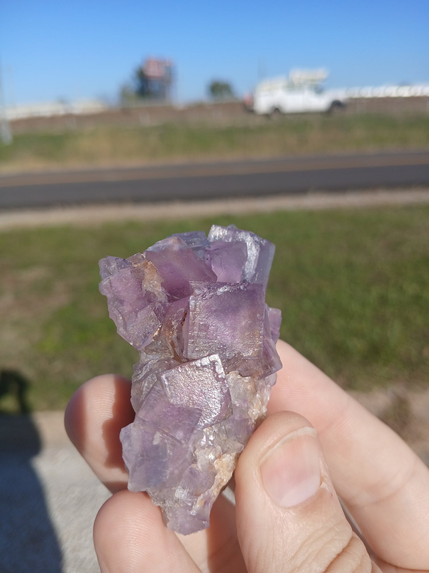 Fluorite on Matrix - New Mexico